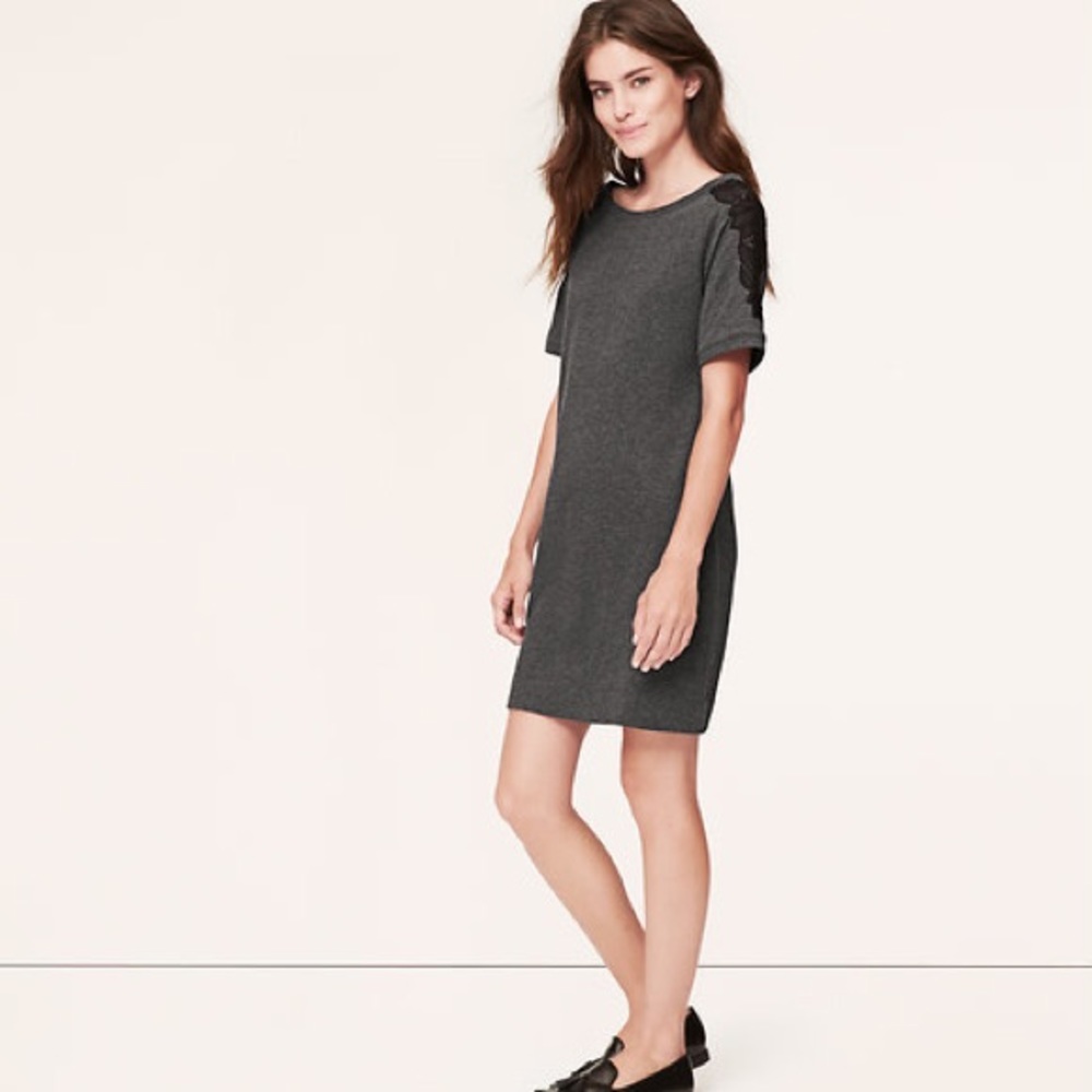 LOFT Lace Sleeve Sweatshirt Dress